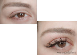 classic, doll eye, eyelash extensions