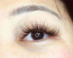 volume, wispy natural, eyelash extensions