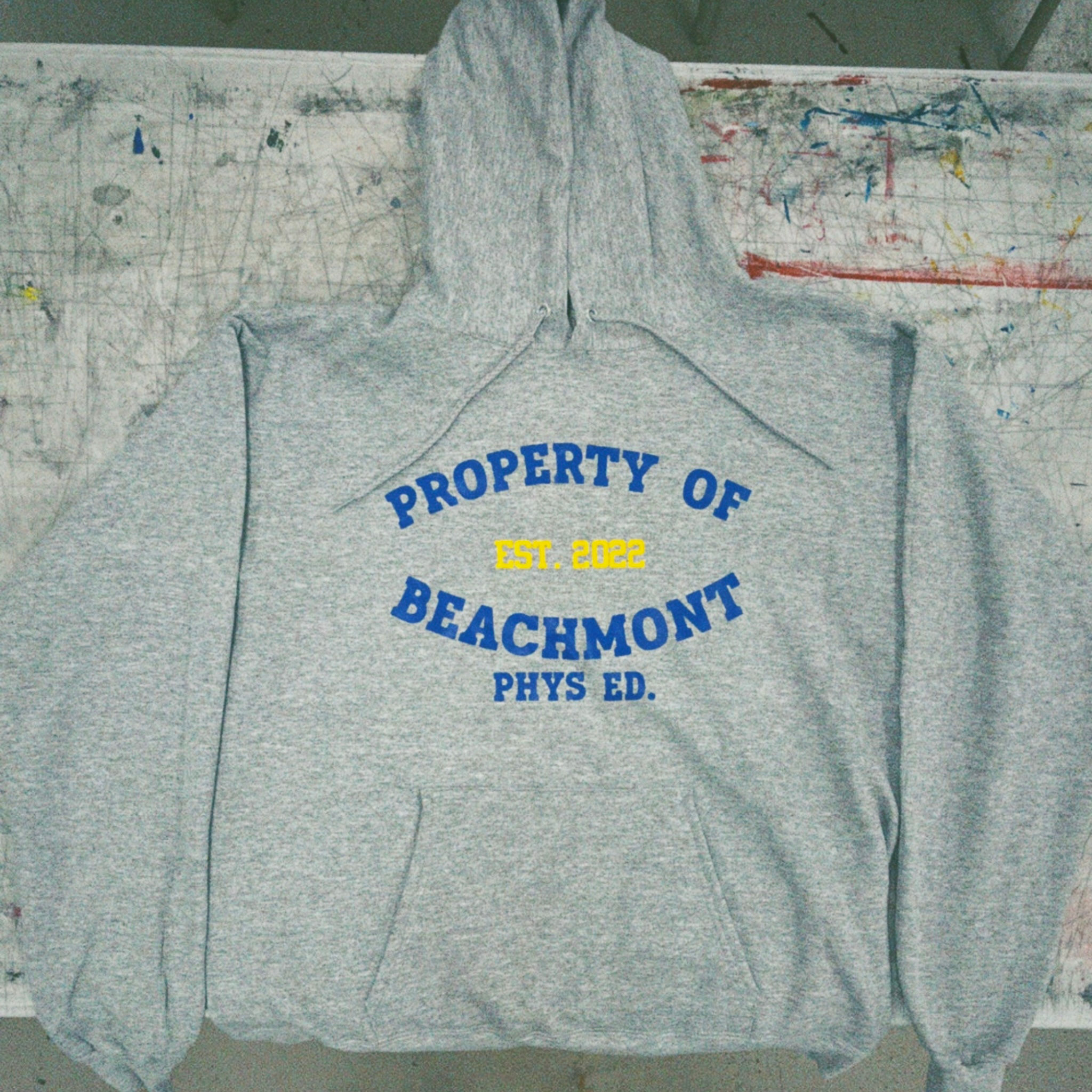 beachmont phys ed hoodie