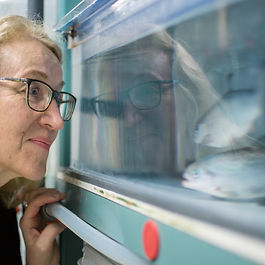 Bergen 26. November 2024 klokken 11:30-16:30 Sted: Bod 24, Sjøgaten 24, 5035 Bergen Program 11:30-12:15 	Lunch 12:15-12:30 	Kort innledning v/ Brit Hjeltnes 12:30- 13:10 	BKD- miniepidemiologien - smittesporingsarbeid 									v/ Ingrid Otnes , Åkerblå 13:10 13:50 	Erfaringer fra eget arbeid med biosikkerhet 										v/ Magnus Kjellstad Lian , Lerøy Sjøtroll 13:50-14:10 	Pause 14:10-14:50 	Risikofaktorer for biosikkerhet knyttet til transport 									v/ Birgit Stautland , Aquakompetanse 14:50- 15:30 	Risikoreduserende tiltak 														v/ Lisbeth Martinsen , Frøy 15:30-15: 45 	Pause 15:45- 16:00 	Utkast til Hygieneveileder for håndtering av notposer i akvakultur. 16:00-16:15 	Orienteringer om pågående prosjekter/tiltak 16:15-16:30	Evaluering For påmelding og mer informasjon, kontakt Jarle Akse, jak@steen-hansen.no  Telefon 970 10 101