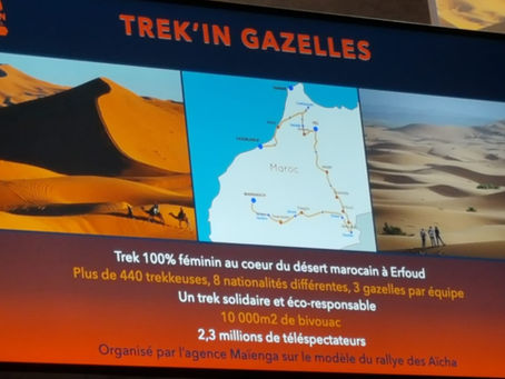 Conférence IRSS Cholet 