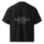 Thumbnail: Give what You Have - Organic Oversized high neck t-shirt