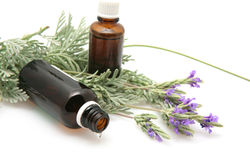 Lavender Oil And Lavender Flowers On White Background