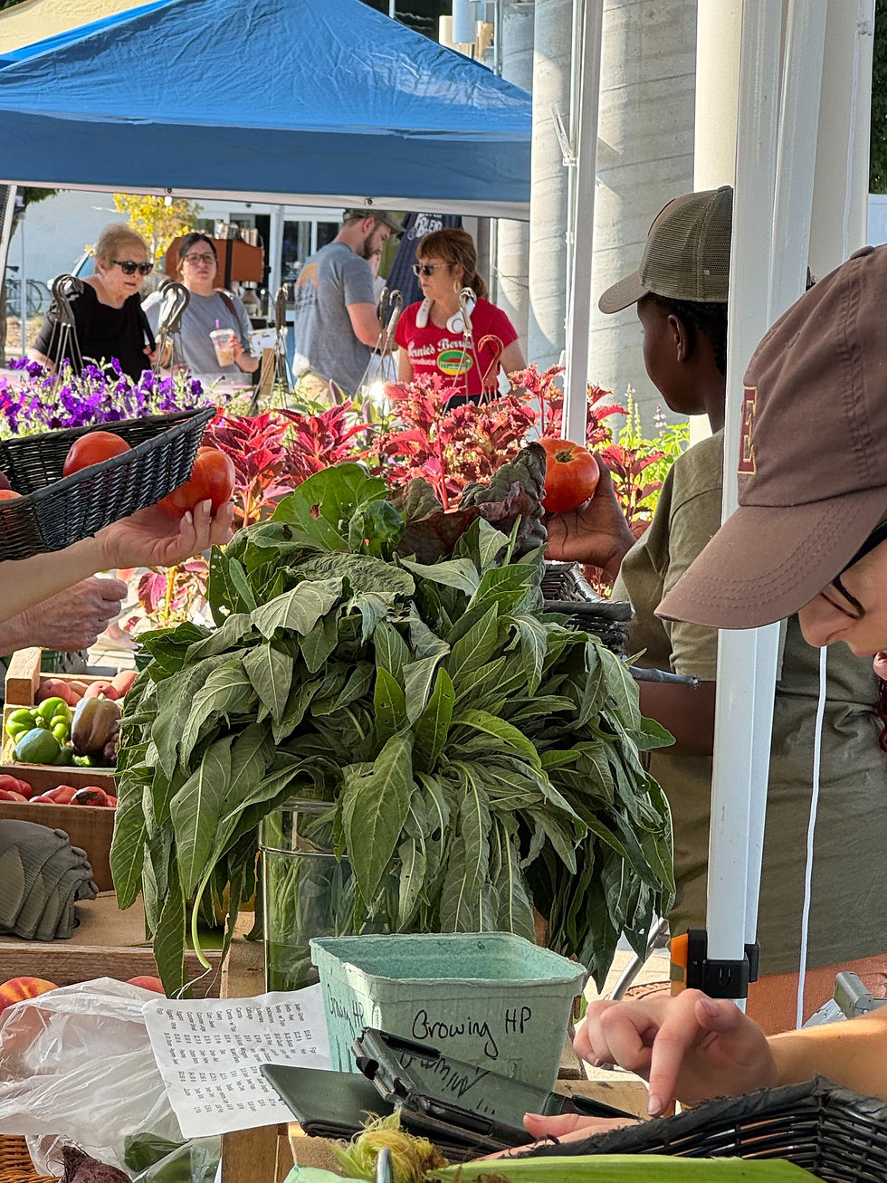 High Point Farmers Market
