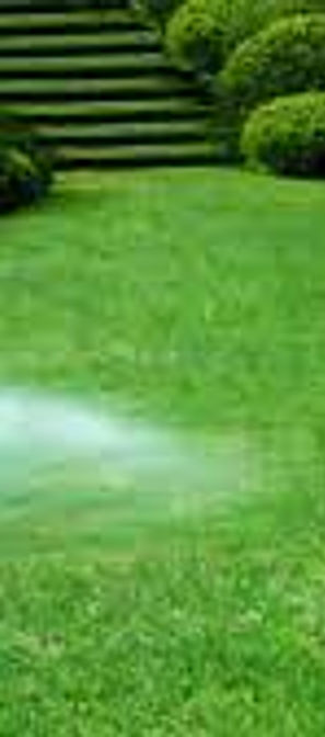 Why Fertilizing is Important
