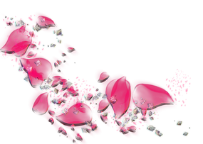 かなめぷりずむ2.png