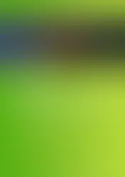 Our new book chapter on "Targeting Bacterial Cells with DNA Nanostructures" is out!