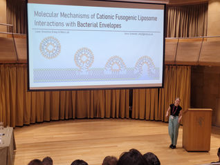 British Society for Nanomedicine Annual Meeting 2024