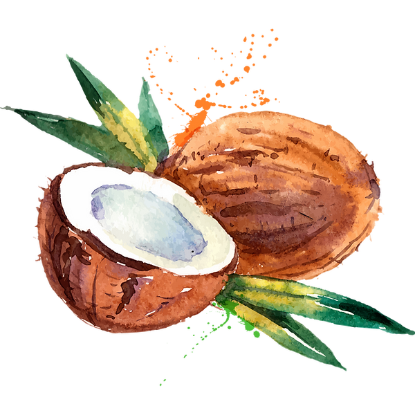 Copy%20of%20pngegg%20(1)_edited.png