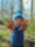 Forest School Playgroup Kippax Leeds