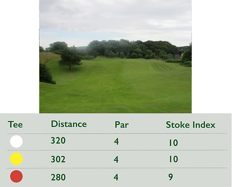 15thtee.png