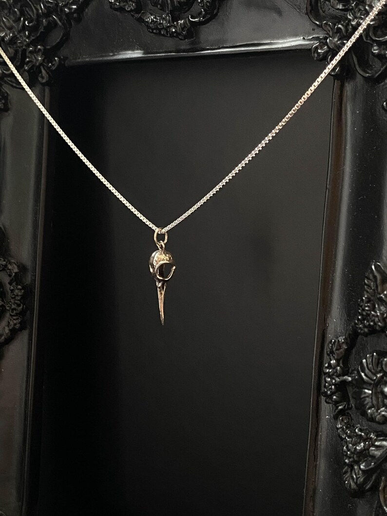 Thumbnail: Sterling Silver Hummingbird Skull Necklace