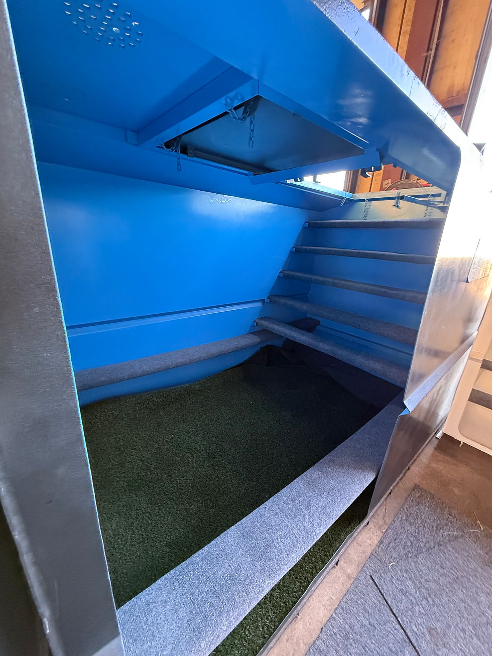 Standard In Ground Color: Blue