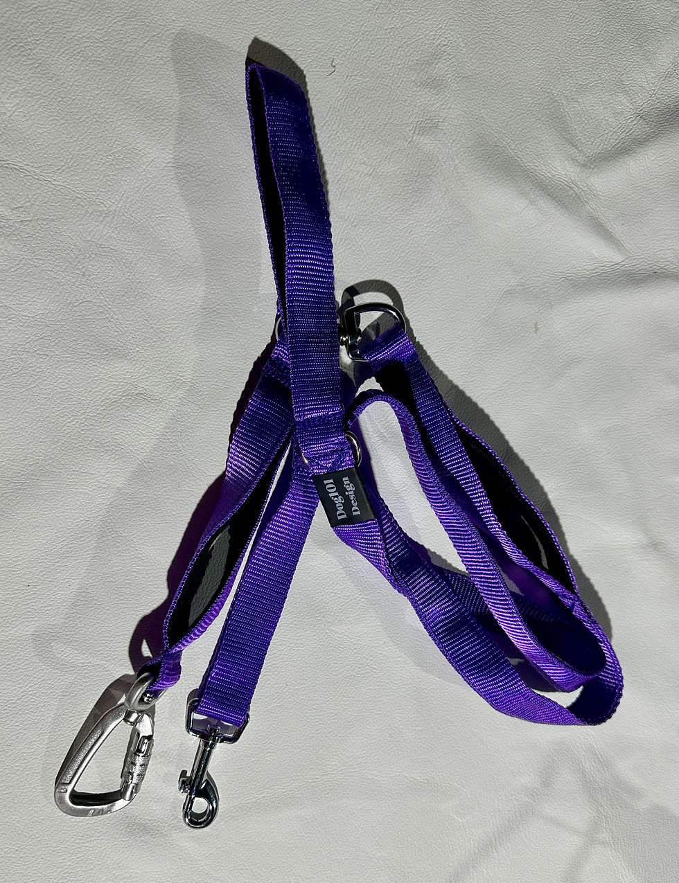 Reactive Plain Purple Lead