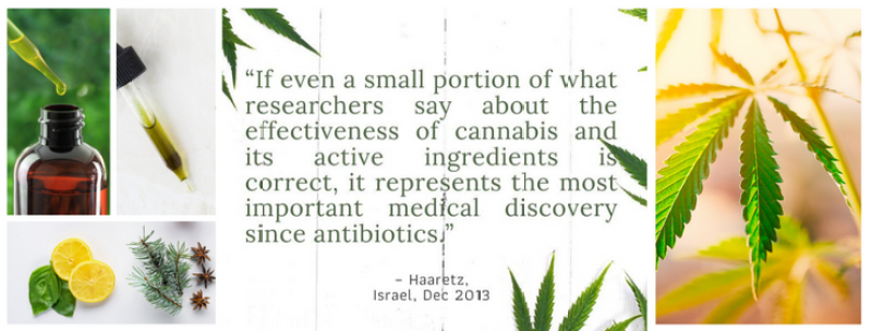 hemp1.webp