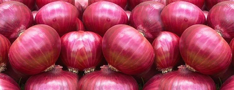 export-quality-onions.jpg