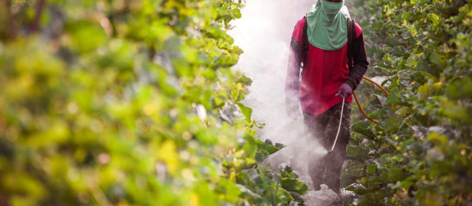 Projetos para frear aumento do uso de agrotóxicos empacam no Congresso