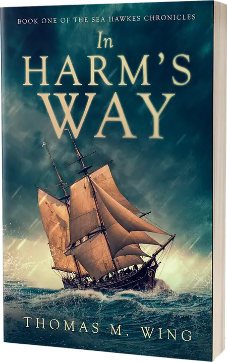 In-Harms-Way-3d.webp