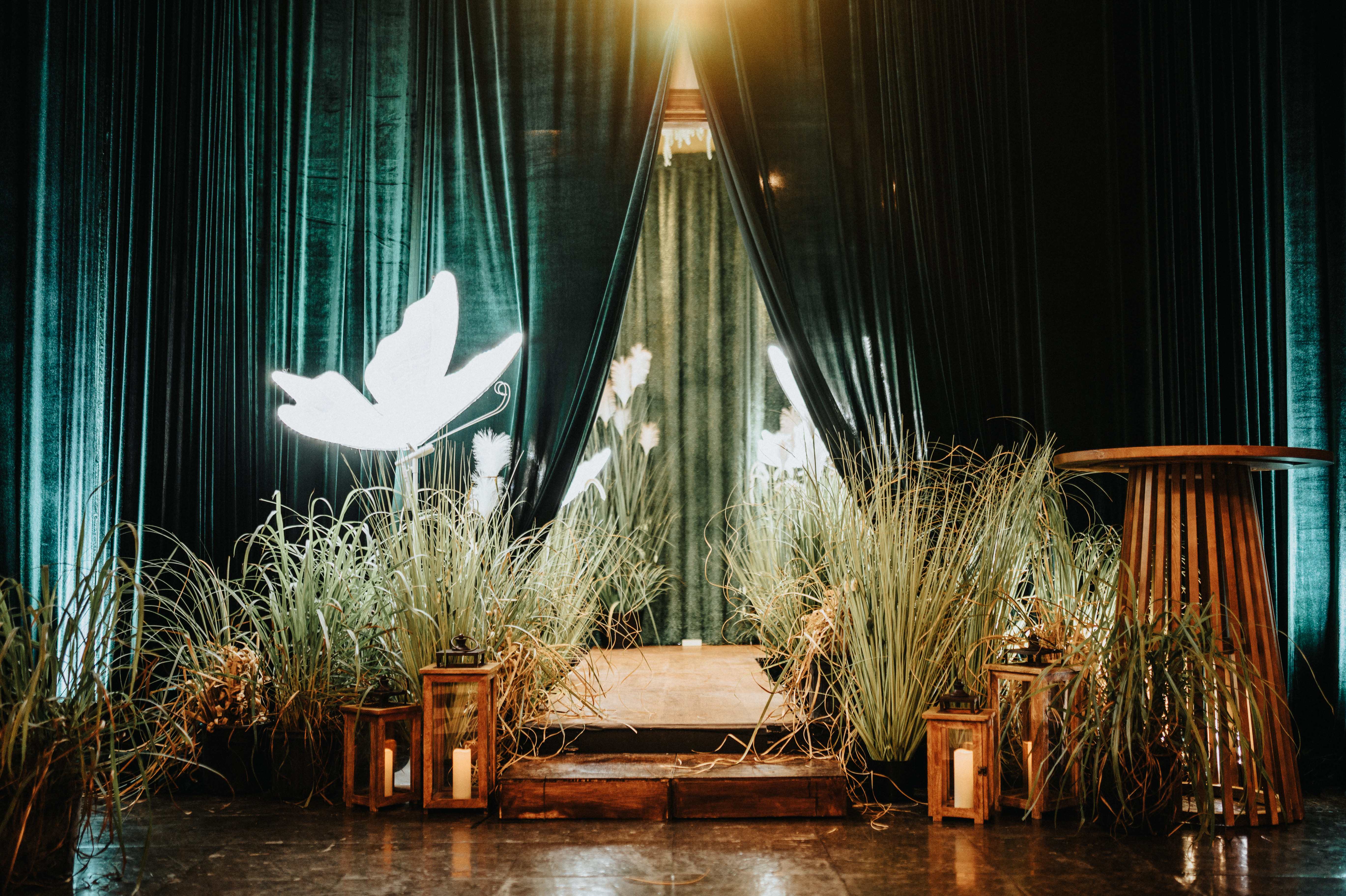 Botanical stage environment composed by ELEVENTS