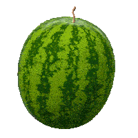 watermelon png.gif