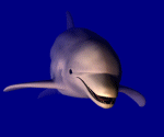 dophin.gif