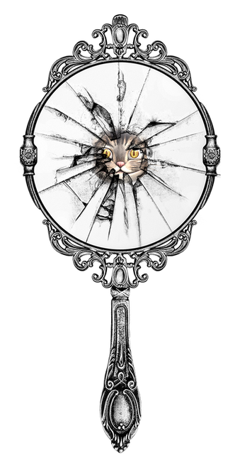 mirror.png