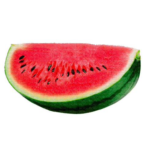 watermelon 3.gif