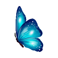 wings 2.gif