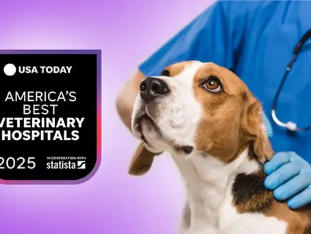 #1 in Arizona and #22 Nationwide