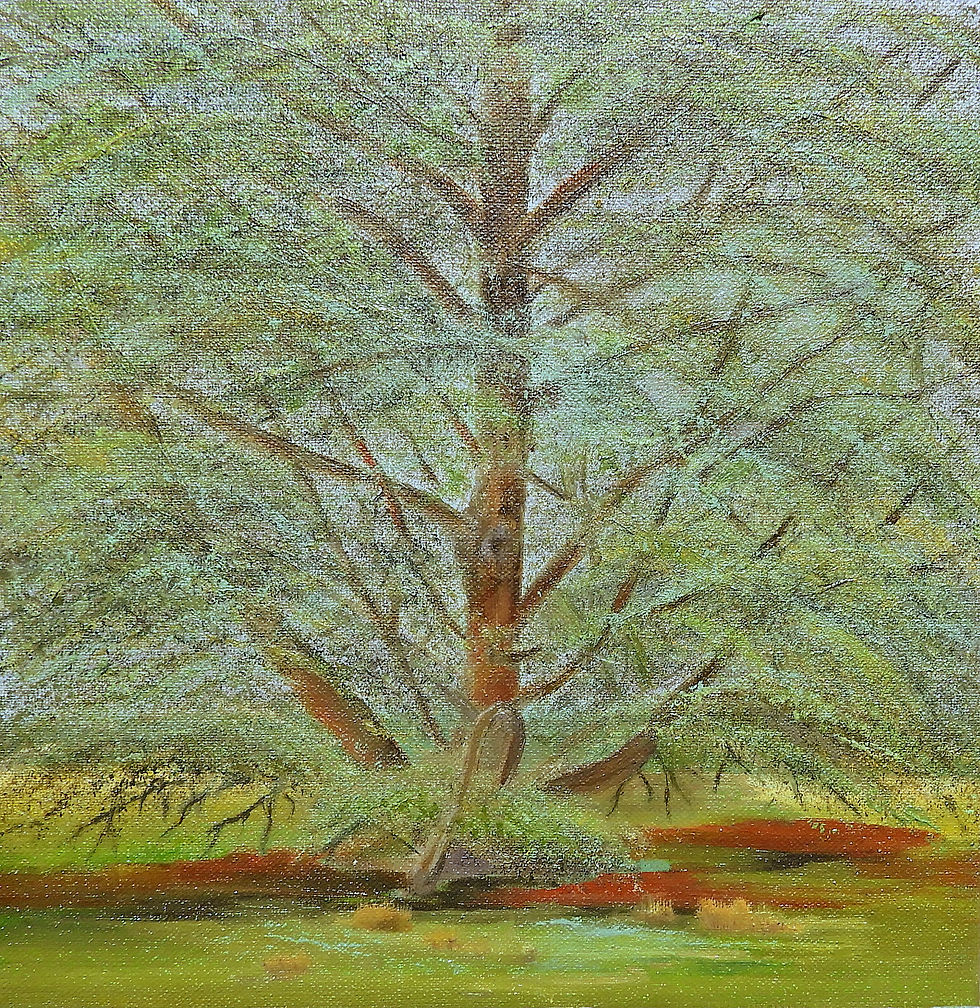 Longwood Garden Beauty 10x10 Linen