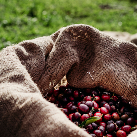 Crafting a better brew for a better tomorrow