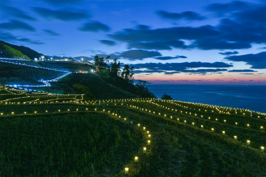 light paths leading across field next to sea at sunset