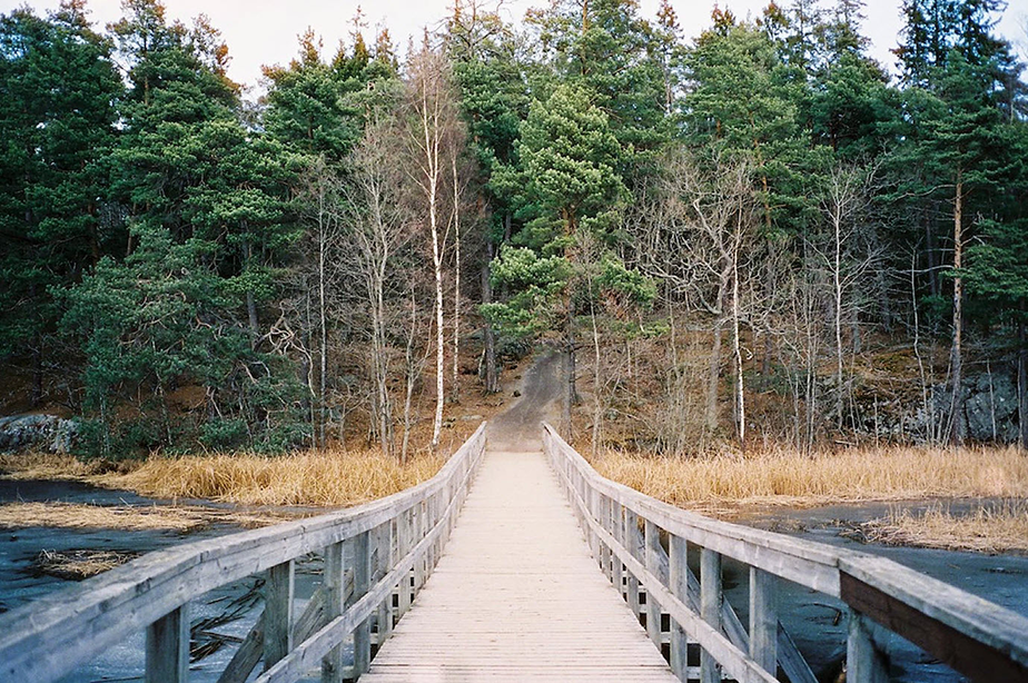 Wolgang-Schönak