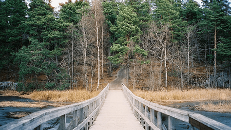 Beautiful Fall Pictures That Prove It Is the Best Season of the Year
