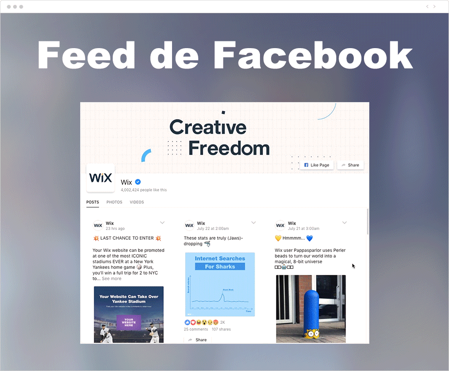 Feed de Facebook