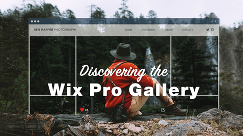 7 Good Reasons to Choose the Wix Pro Gallery