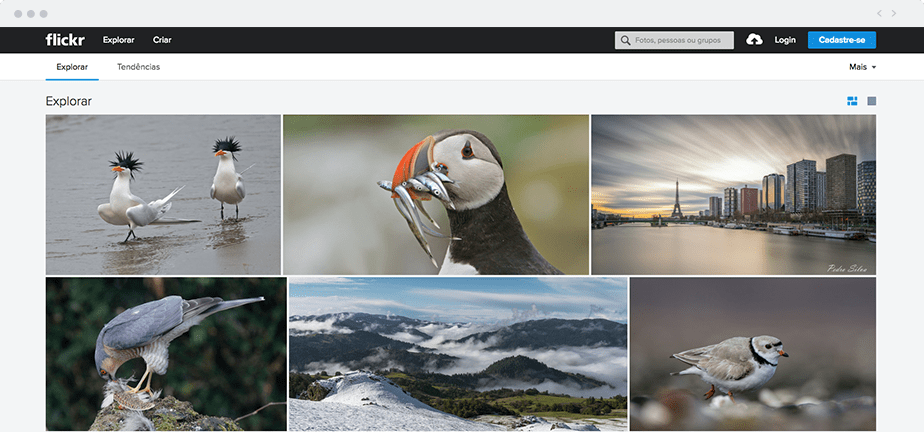 Os 8 Melhores Sites Gratis Para Armazenamento De Imagens