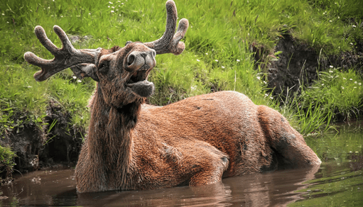 5 Amazing Photographers You Need to Know About