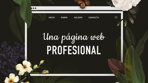 Páginas web profesionales para principiantes
