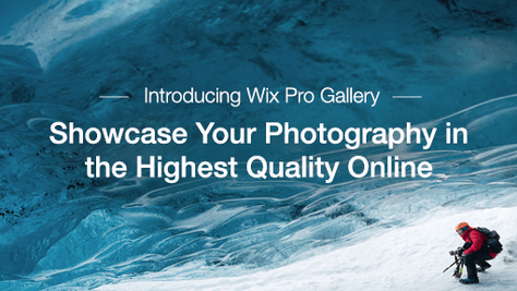 New! Wix Pro Gallery – Showcase Your Images in the Highest Quality Online