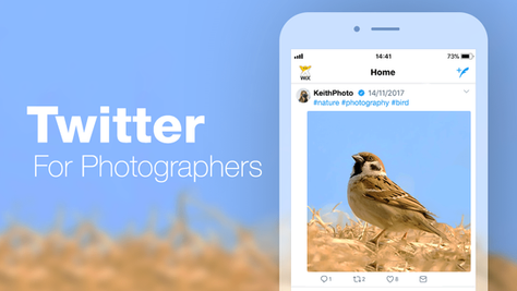 Watch The Birdie: Why and How Photographers Should Use Twitter