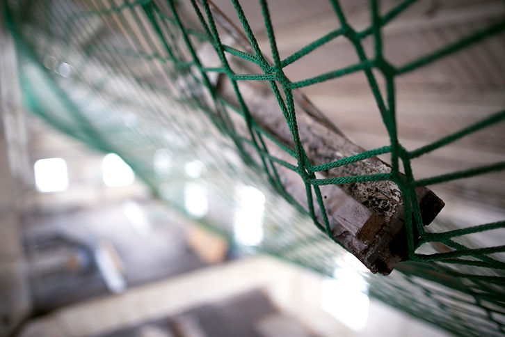 Using blue fall hights safety protection netting to catching a debris on construction buil