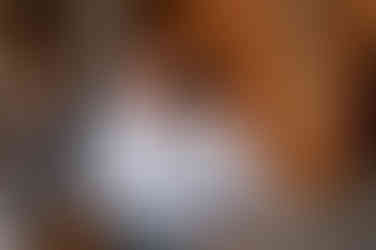 das Brautpaar im Standesamt sitzend, händchenhaltend