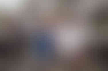 die Freundinnen die die Braut hoch heben alle lachen