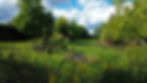 DJI_0017.jpg