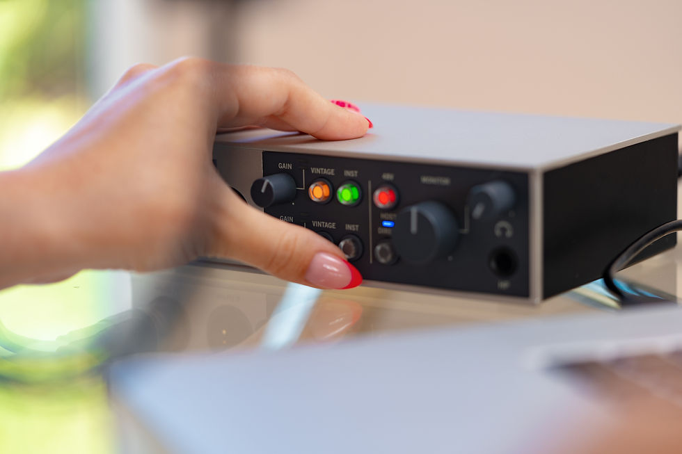 Audio interface with multiple input options