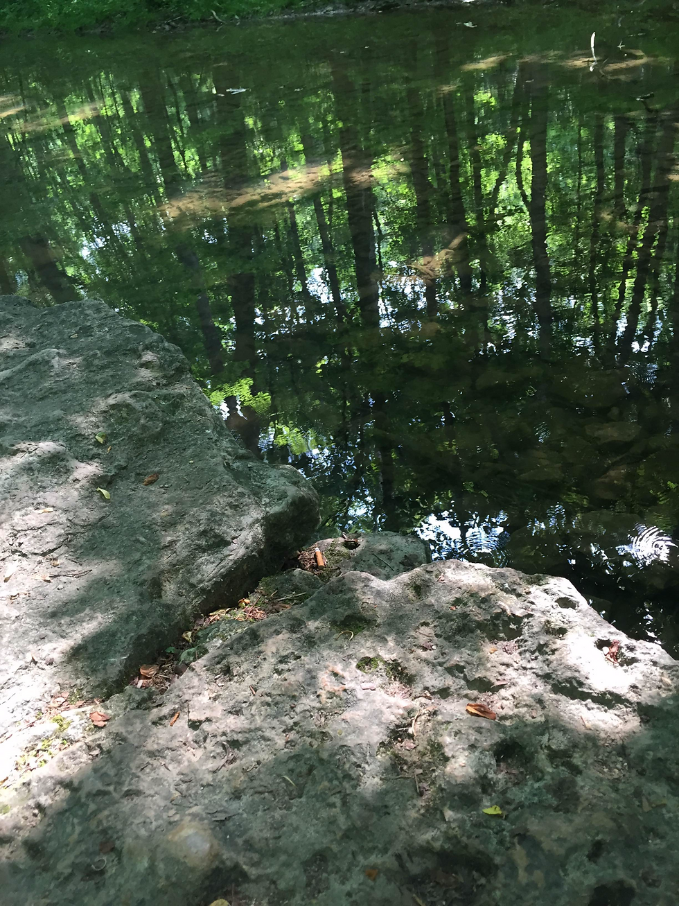 Natural Reflections