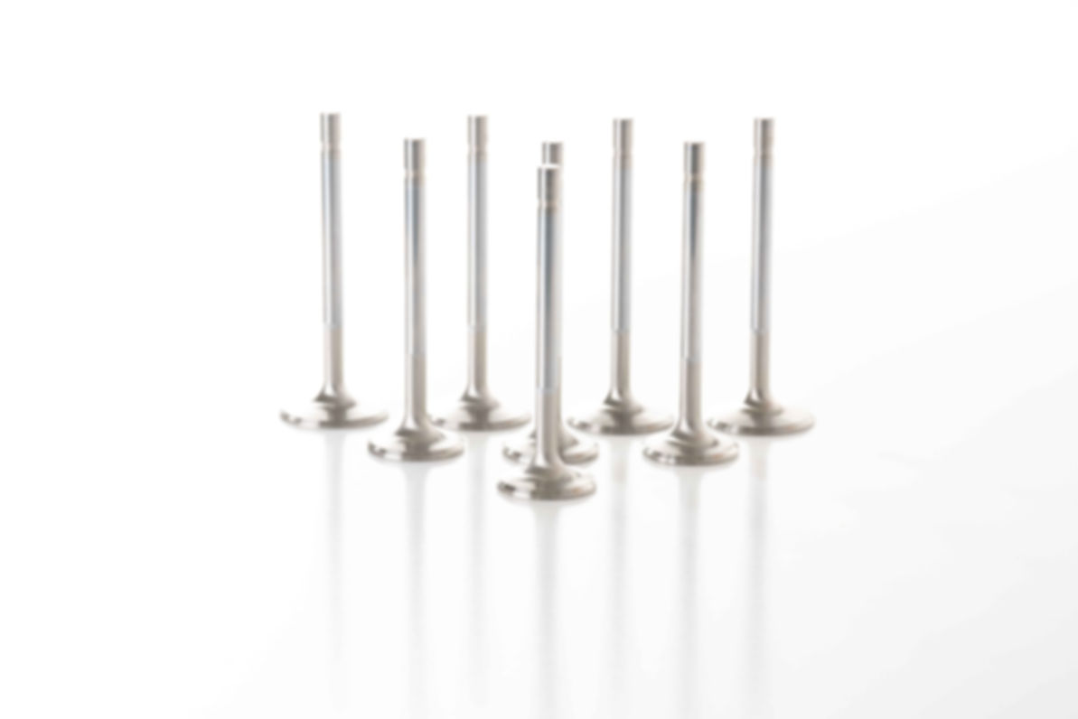 Stock Diameter Stainless Valves