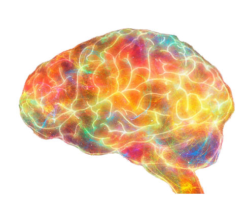 ADHD Career Coaching.jpg