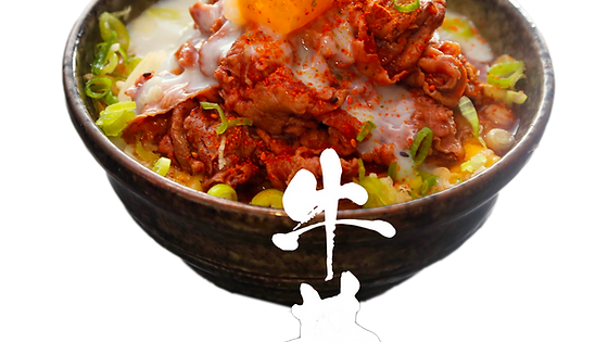 N6 Gyudon